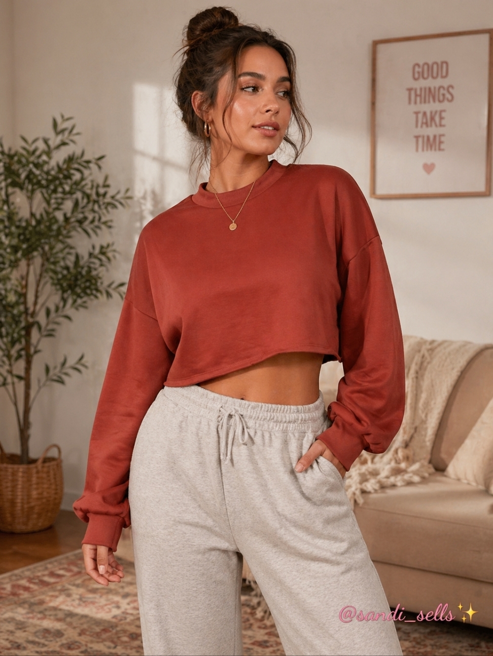 Streetwear Society Cropped Rust Sweatshirt Hoodie